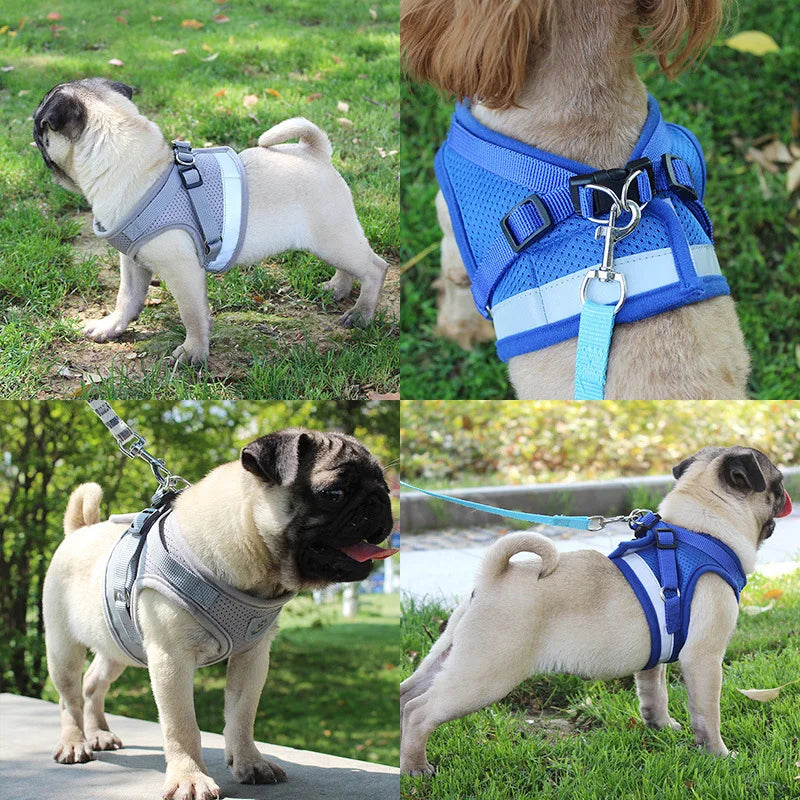 Harness with Leash Adjustable Pet Vest for Small Medium Dog Soft Outdoor Breathable Puppy Chest Strap