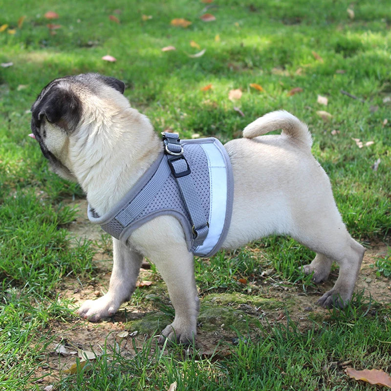 Harness with Leash Adjustable Pet Vest for Small Medium Dog Soft Outdoor Breathable Puppy Chest Strap